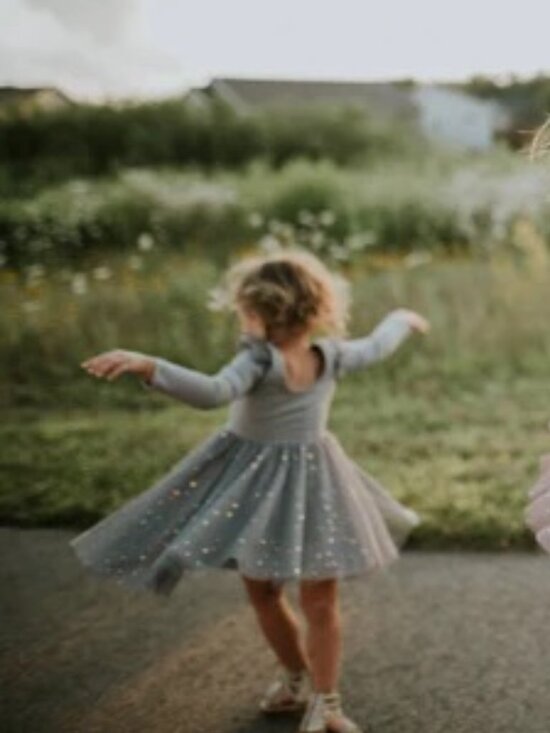 Elestory Other - Elestory Gray Ballerina Dress w/ Tulle Skirt and Sparkly Stars. Size 5T